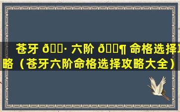 苍牙 🌷 六阶 🐶 命格选择攻略（苍牙六阶命格选择攻略大全）